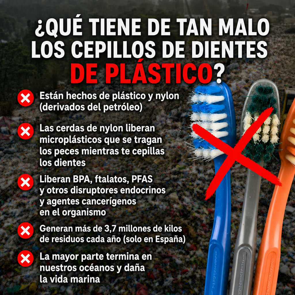 Cepillo Raíz — Bambú y Cerdas de Jabalí (Pack de 4)